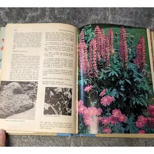 Picture Book of Perennials by Irene Nehrling and Arno Nehrling (Hardcover) 1964